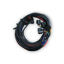Load image into Gallery viewer, 4X WB-O2 NANO HARNESS