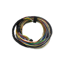 Load image into Gallery viewer, FT250/300/350/400 DYNO EXTENSION - MAIN HARNESS