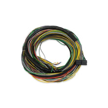 Load image into Gallery viewer, FT250/300/350/400 UNTERMINATED MAIN HARNESS