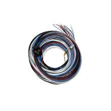 Load image into Gallery viewer, FT450/550 A UNTERMINATED HARNESS