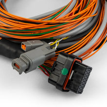 Load image into Gallery viewer, FT INPUT EXPANDER HARNESS