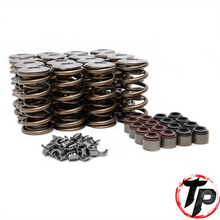 Load image into Gallery viewer, TP660DVSK 660" Lift Dual Valve Spring Kit for all LSx Engines
