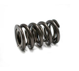 BTR VALVE SPRING SET - .800