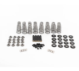 BTR LT1 CONICAL SPRING KIT WITH VALVE TIP SAVER