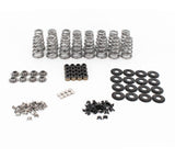 LT4 CONICAL VALVE SPRING KIT WITH VALVE TIP SAVER