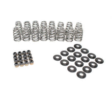 Load image into Gallery viewer, BTR .625 LIFT VALVE SPRING KIT