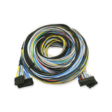 FT500 DYNO EXTENSION HARNESS