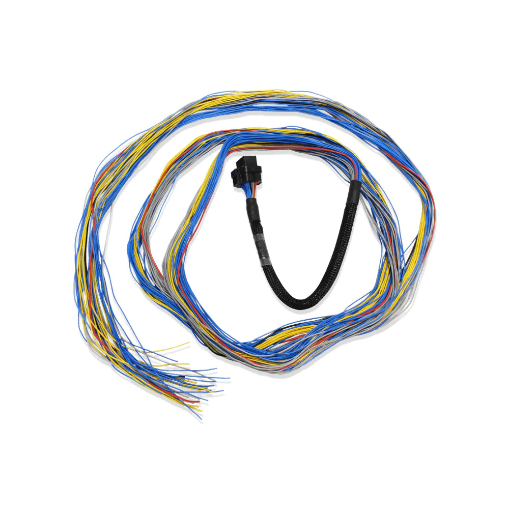 FT600 UNTERMINATED HARNESS