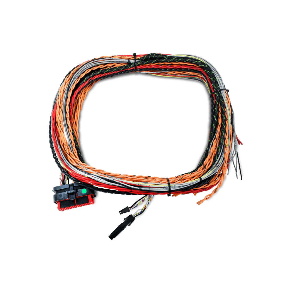 FTSPARK-1 HARNESS