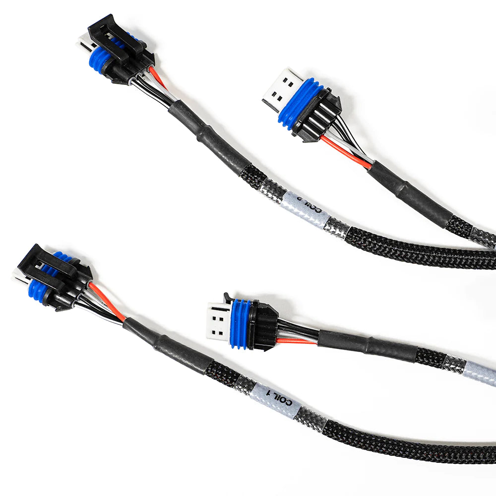 LS550 V8 COMPLETE HARNESS