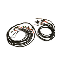 Load image into Gallery viewer, PRO550/600 V8 SMART COIL HARNESS
